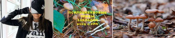 молекула духа Абинск