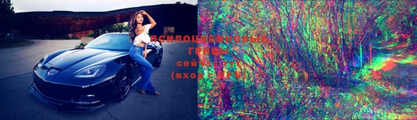 МДПВ Абаза